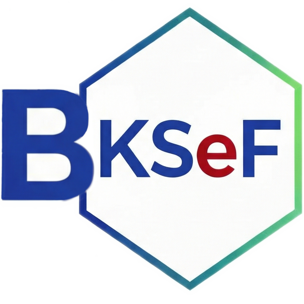 KSeF Bridge